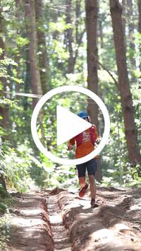 BIB:  <button type="button" onclick="openModal(26569328)" class="btn btn-primary btn-sm float-right" data-toggle="modal" data-target=".modal-high-quality">
                <i class="fa fa-download"></i> Download
                </button>